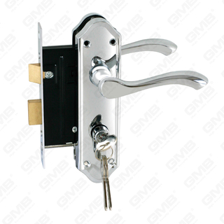 Set serratura ad alta sicurezza con chiavistello Set serratura Maniglia serratura serratura (224C)