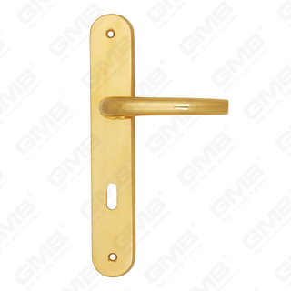 Maniglie in ottone Maniglia per porta in legno Hardware Maniglia per porta su piastra per serratura da infilare (B-PM9789-PB)
